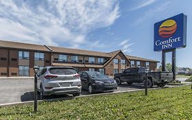 Comfort Inn  3*
